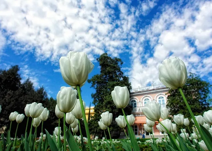 Apartament Nostalgie Opatija