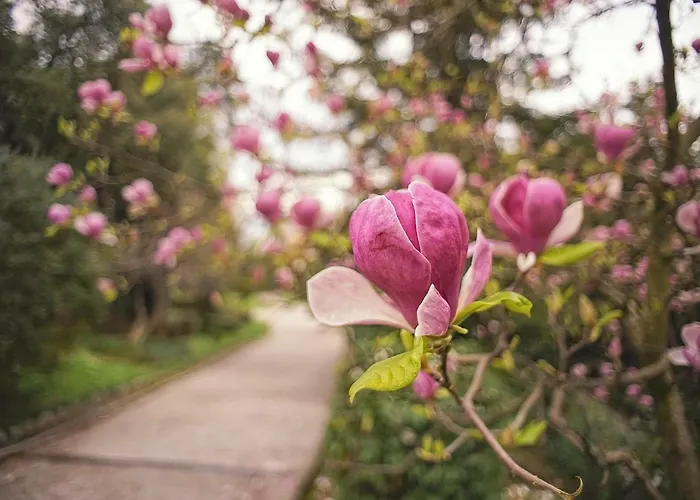 Nostalgie Апартаменти Опатія