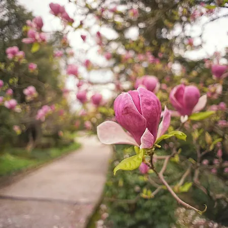 Nostalgie Appartamento Abbazia